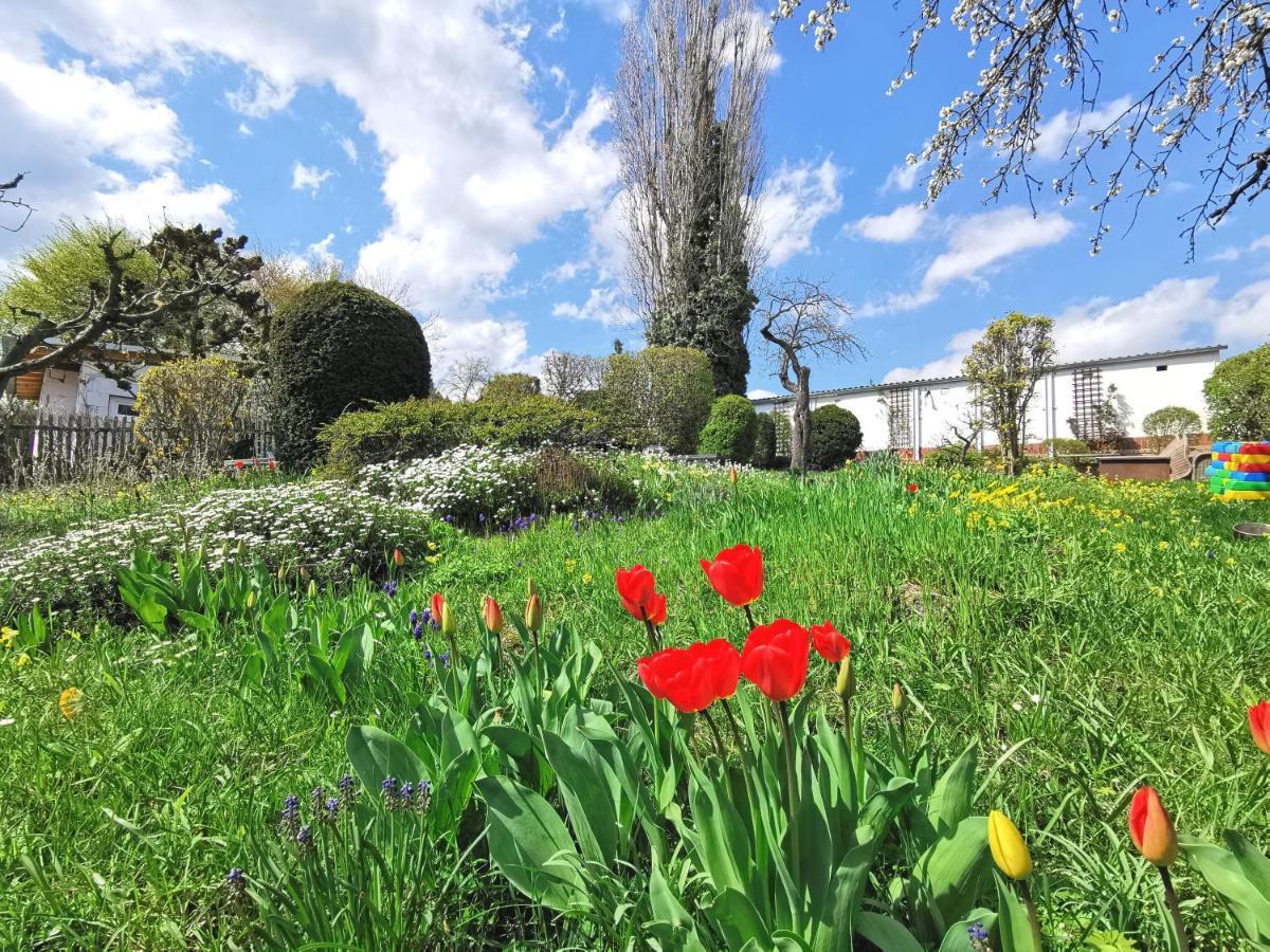 Bohnapartments Ega Stadtblick - Garten - Wlan - Naehe Theater Ega Und Messe Ερφούρτη Εξωτερικό φωτογραφία